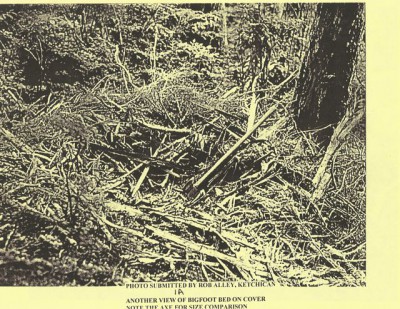 BigFoot Encyclopedia_Page_1401.jpg