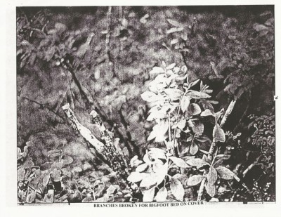 BigFoot Encyclopedia_Page_1406.jpg