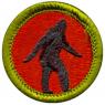 av-1527.jpg