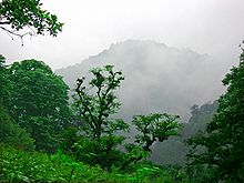 220px-Ghaleye_Rud_Khan_(40)_4.jpg