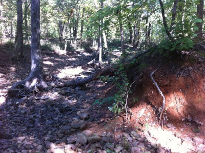 Back behind the creekbank is the dried up rocky creek.