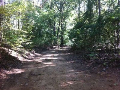 The trail leading up to the bus where the listening post was at. This picture was taken nearly in the spot the Bigfoot would have been at, clearly able to see a ways up the trail.