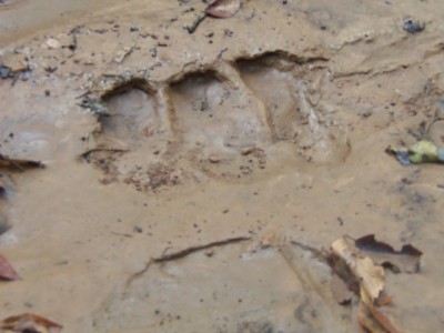 100_0058a.JPG (124.74 KiB) Viewed 12096 times 100_0058a.JPG