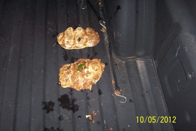100_1276.jpg
