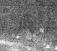 25994549_10155151162468513_8764868670308700185_n.jpg