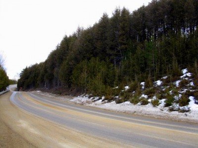 Report 31992 View of immediate landscape.jpg
