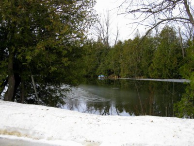 Report 31992 View of pond from road.jpg