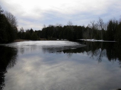 Report 31992 Broader view of pond.jpg