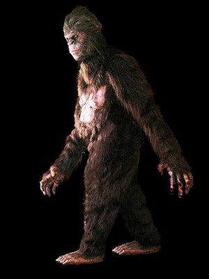 Sasquatch_1024x1024_2f6ceb1c-06b8-4188-be53-6f3a25576fc0_grande.jpg