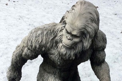 Depiction-of-the-Yeti-is-Wrong.jpg
