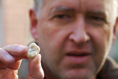 Holotype (molar) of Giganthopithecus blacki, in the background Prof. Friedemann Schrenk, Senckenberg-Institut, Frankfurt am Main, Germany. (CC BY SA 3.0)