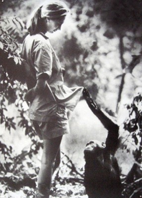 British anthropologist and primatologist Jane Goodall with a chimpanzee (CyberHades / Flickr)