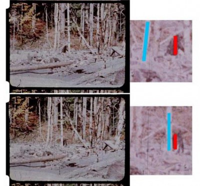 Tree shadows on the subject figure in the PGF. (Munns, B. &amp; Meldrum, J.)